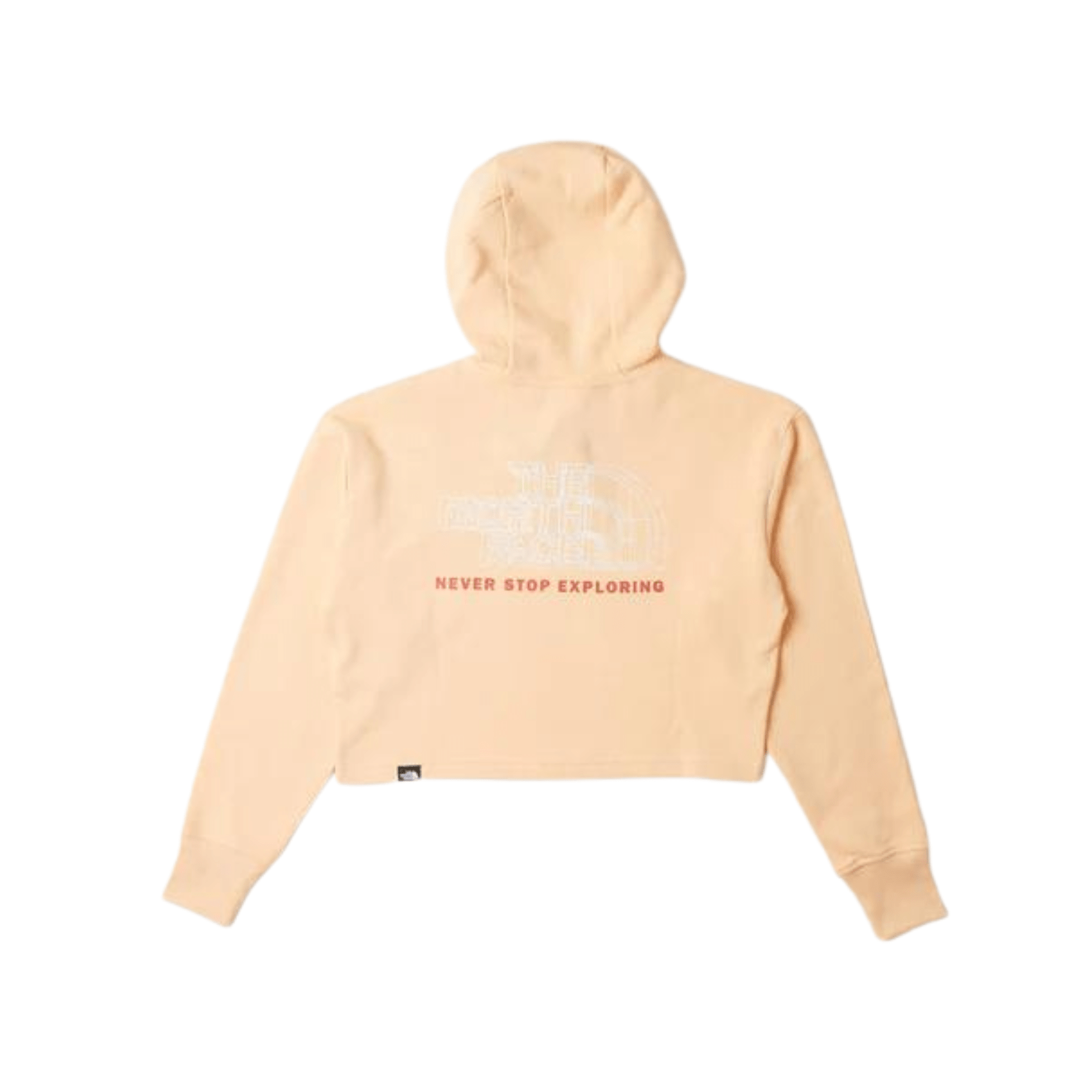 Felpa north face never 2025 stop exploring