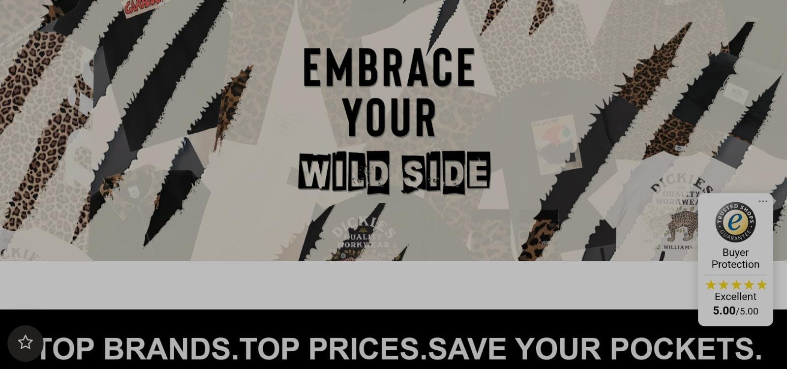 What is the sticker that appears on the home page of some e-commerce sites?