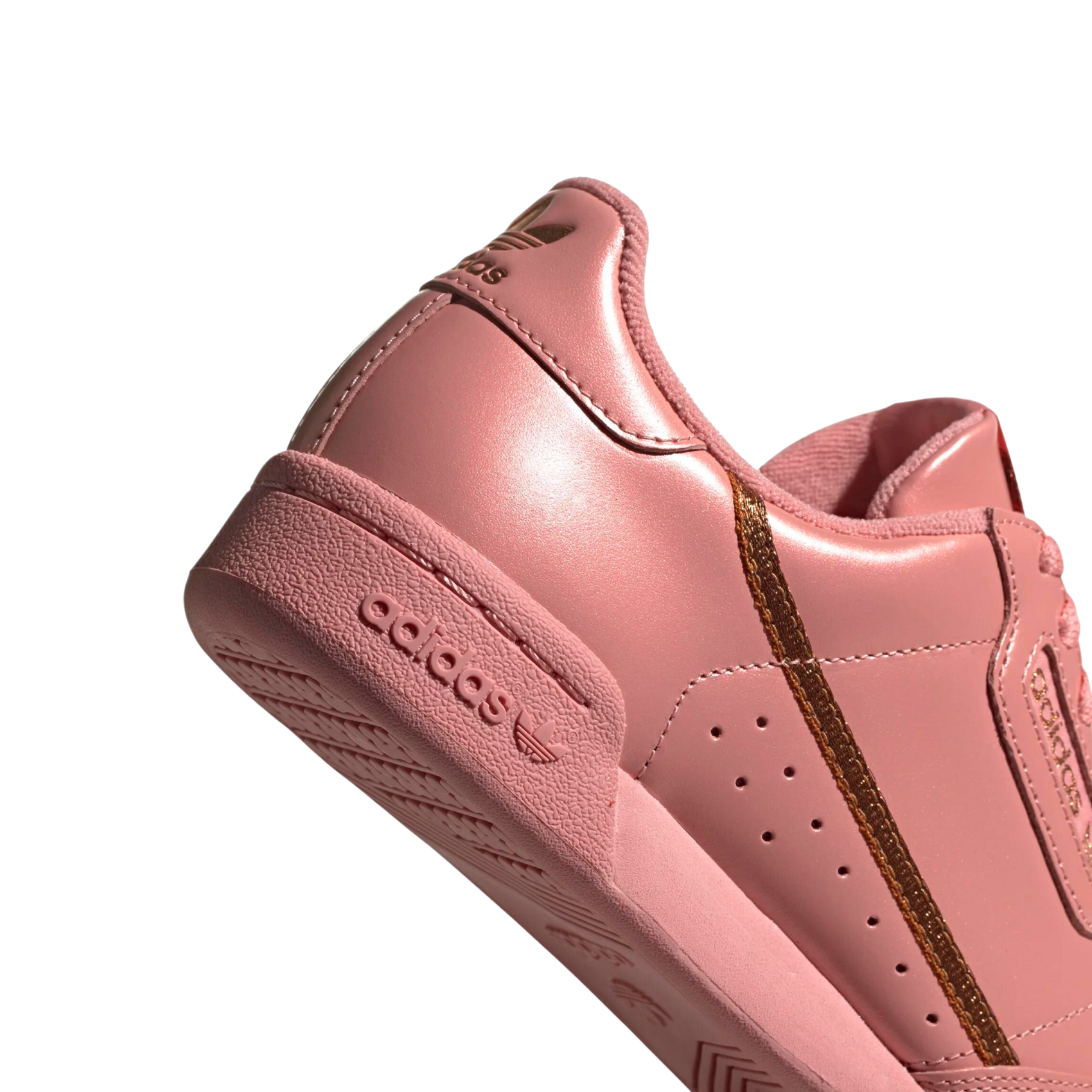 Continental top 80 rose