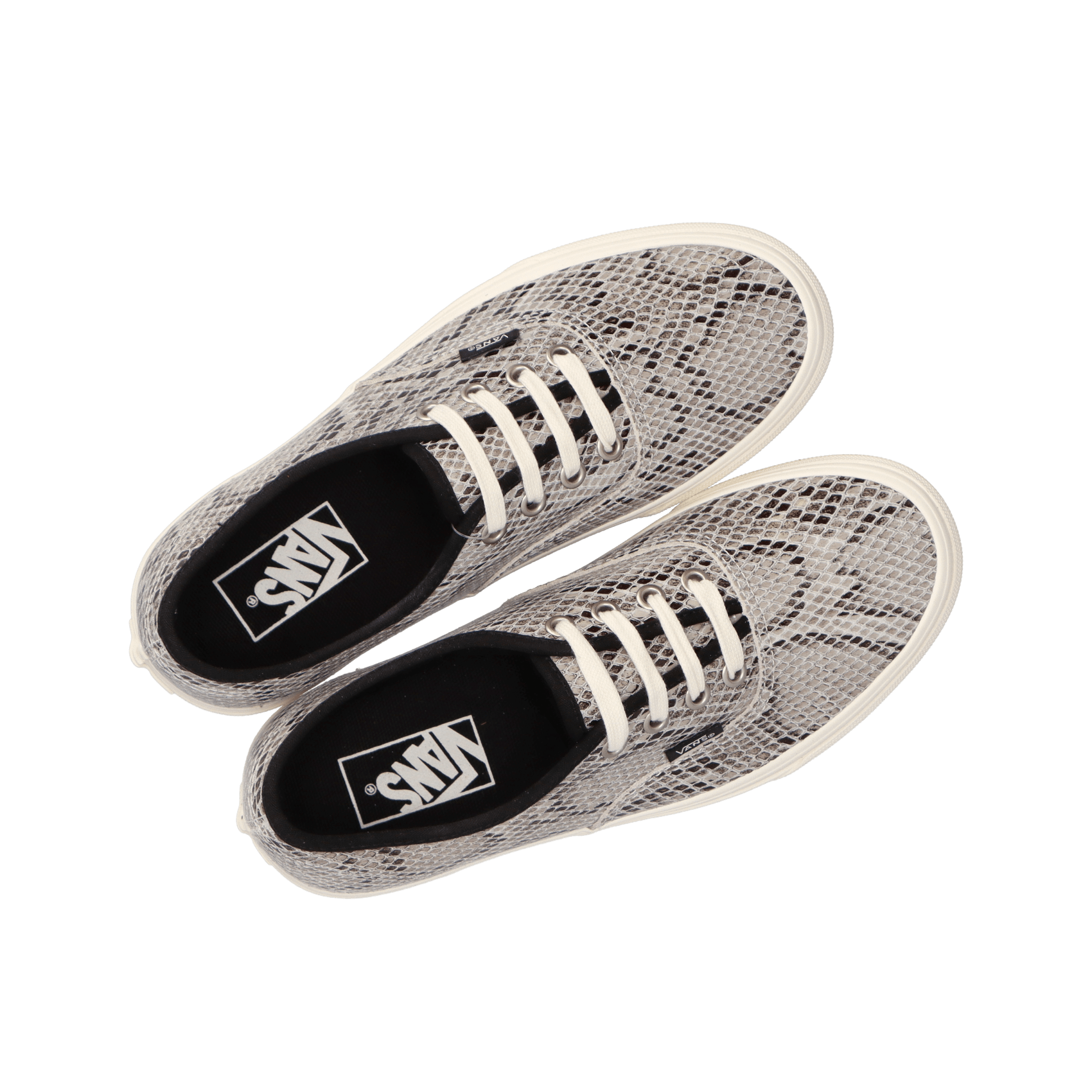 Authentic - (Snake) Grey.