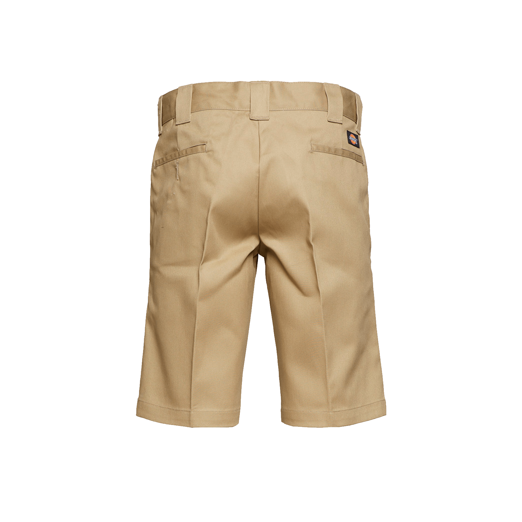 Dickies 2025 shorts beige